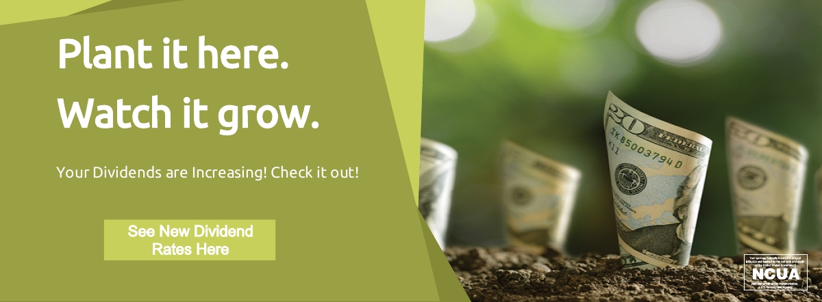 plant it here, watch it grow. See new dividend rates here
